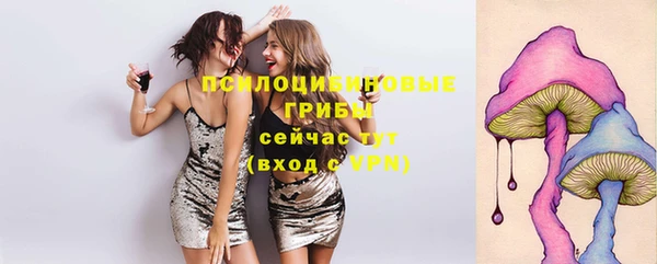 бутират Алзамай