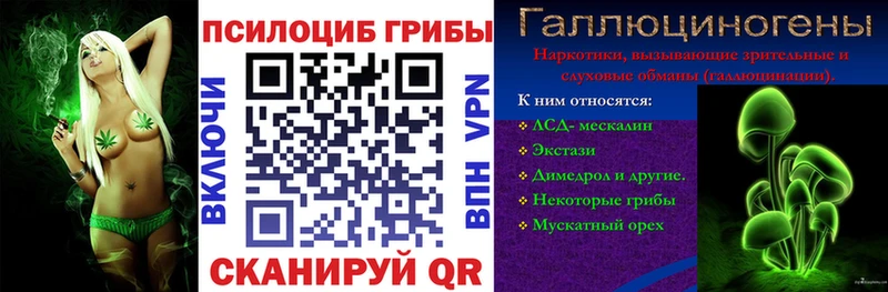 Купить закладки  Старая Купавна  Псилоцибиновые грибы MAGIC MUSHROOMS 